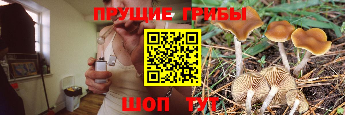 Галлюциногенные грибы Cubensis Феодосия